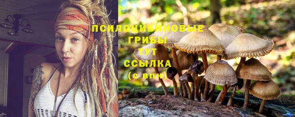 mix Беломорск