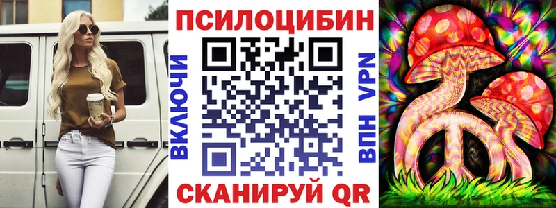 как найти закладки  Пионерский  блэк спрут сайт  Галлюциногенные грибы мицелий 